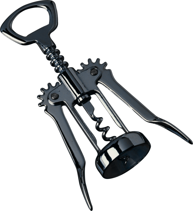 Fancy Wine Bottle Opener