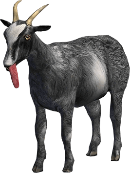 Pilgor