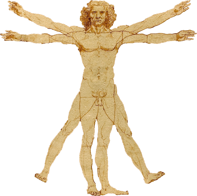 Vitruvian Man