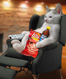 Cat watching TV with snacks